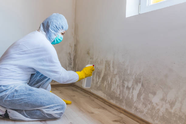 Mold inspector in Bowie performing thermal imaging